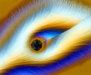 Ausstellung MikroMakro von Karl Deckart