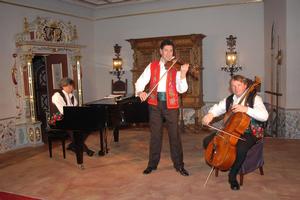 Salon-Trio Ferenc Babari